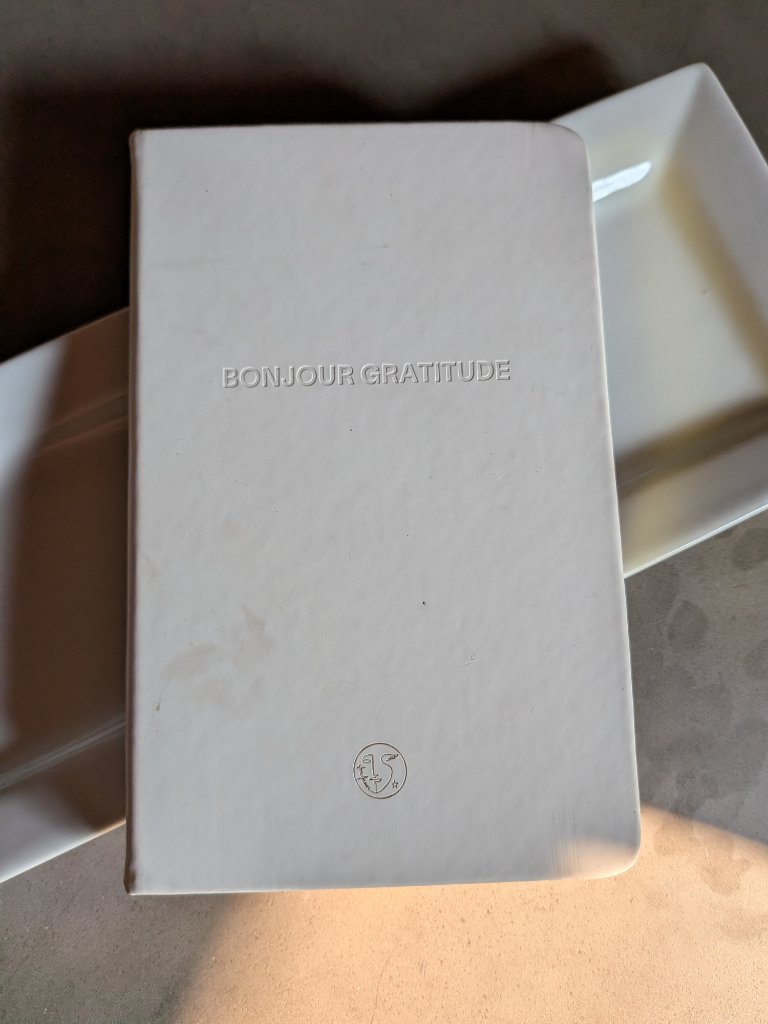 Violette_fr Gratitude Journal — image 3 of 8